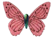 BORBOLETA SCAN - 10 UNIDADES