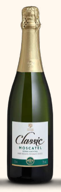 ESPUMANTE SALTON CLASSIC MOSCATEL 06X750ML