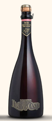 ESPUMANTE SALTON LUCIA CANEI SALTON 06X750ML