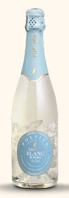 ESPUMANTE SALTON POETICA DEMI-SEC 06X750ML