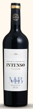 VINHO SALTON INTENSO MALBEC 06X750ML 2024 AR