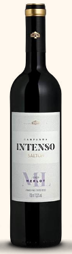VINHO SALTON INTENSO MERLOT 750ML 2023