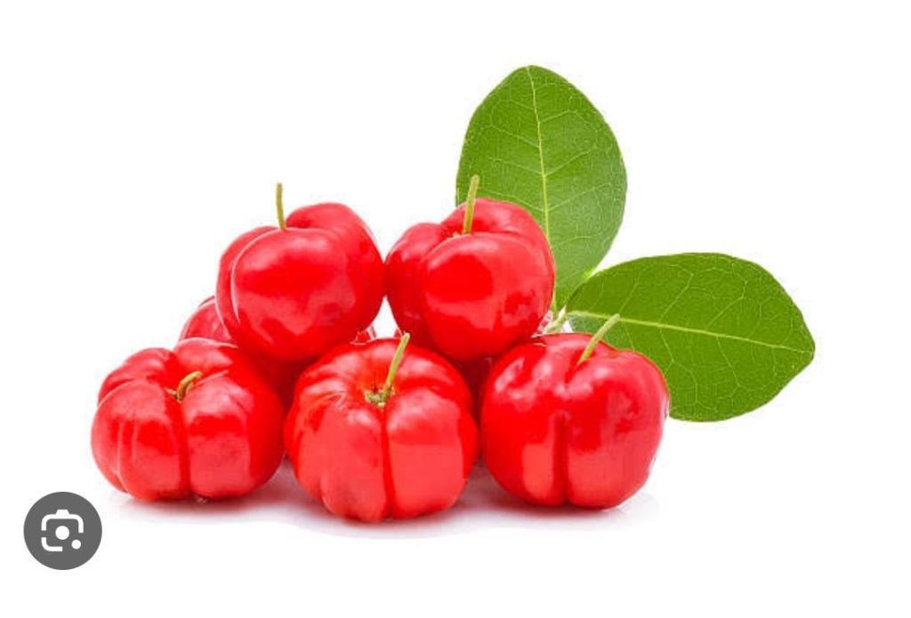 POLPA DE FRUTA ACEROLA 1K