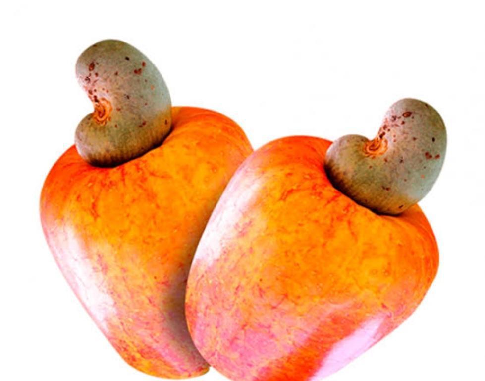 POLPA DE FRUTA CAJU 1K