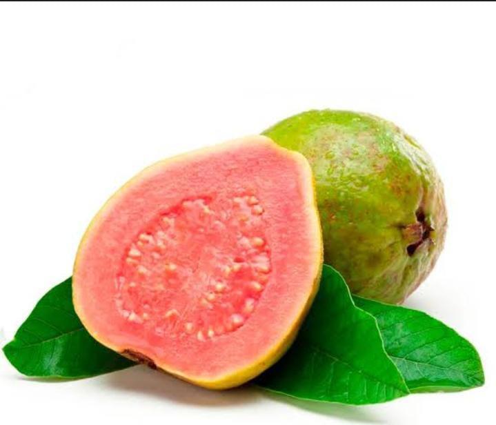 POLPA DE FRUTA GOIABA 1K