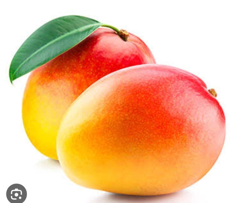 POLPA DE FRUTA MANGA 1K
