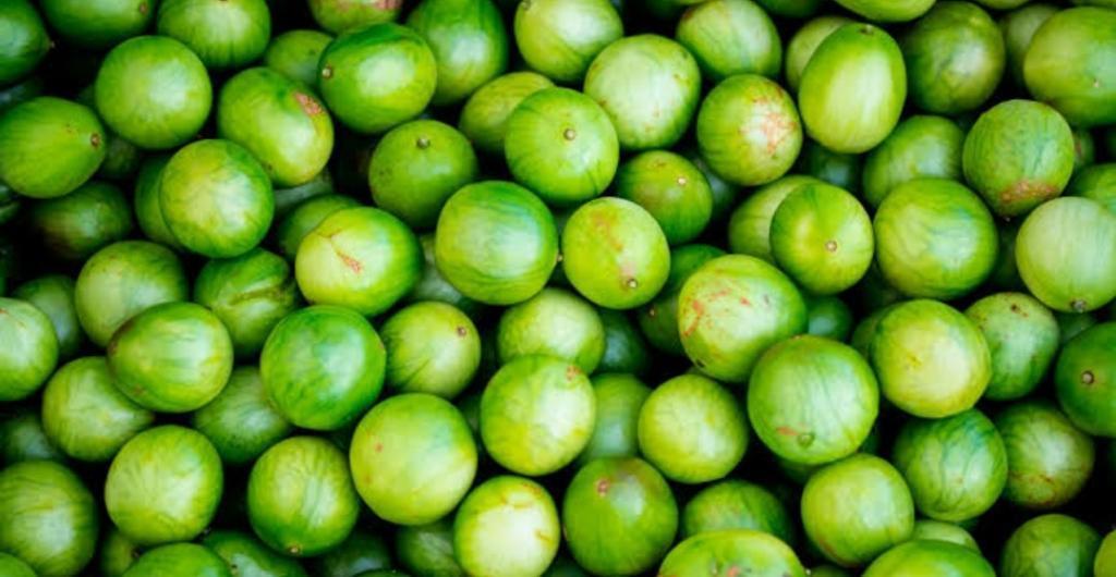 POLPA DE FRUTA UMBU VERDE 1K