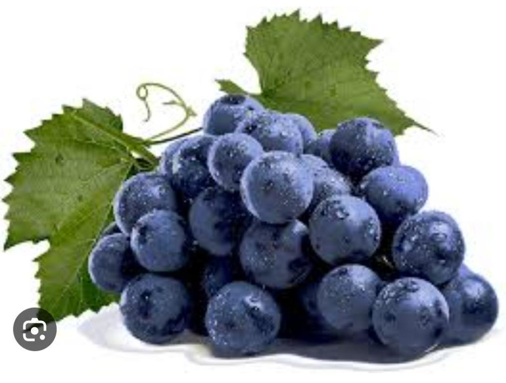 POLPA DE FRUTA UVA 1K
