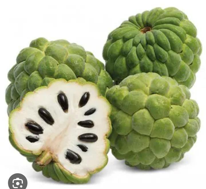 POLPA DE FRUTA  PINHA 1KL