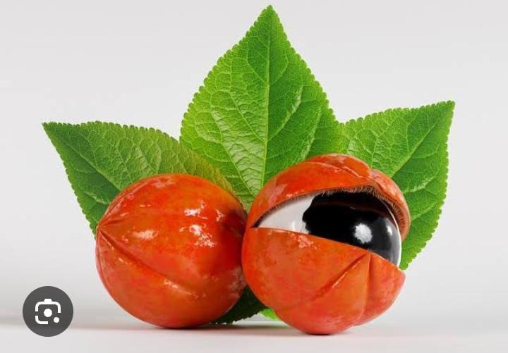 POLPA DE GUARANA