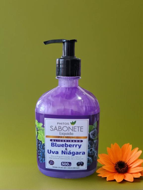 SABONETE 500ML BLUEBERRY & UVA NIÁGARA