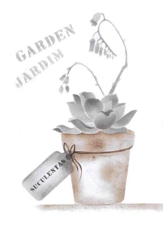 Vaso com suculenta