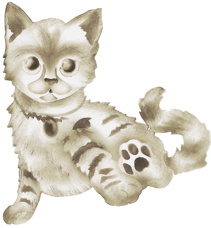Gato Rajado