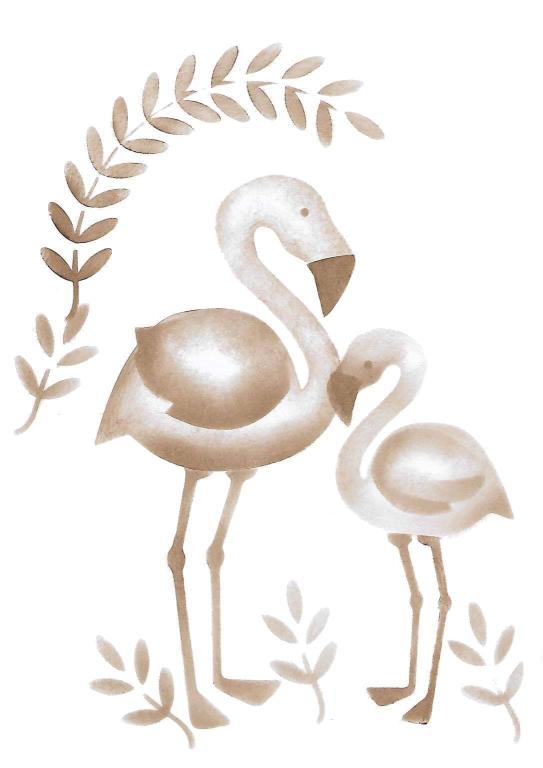 Casal de flamingos