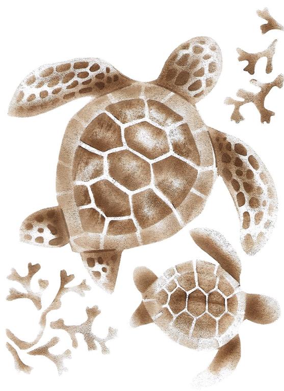 Tartarugas