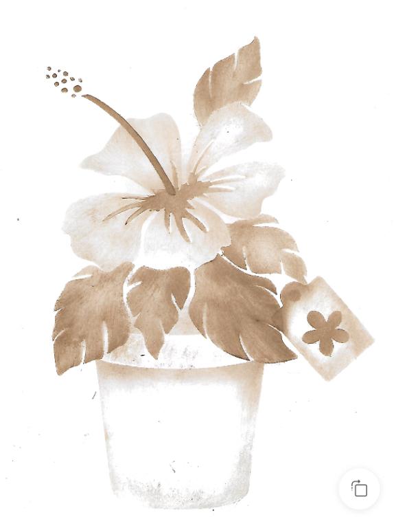 Vaso com Ibisco