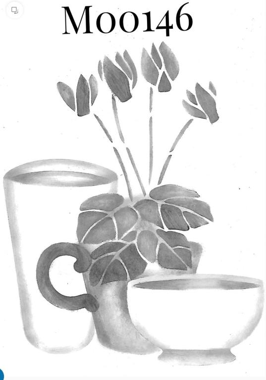 Flores e 3 tipos potes