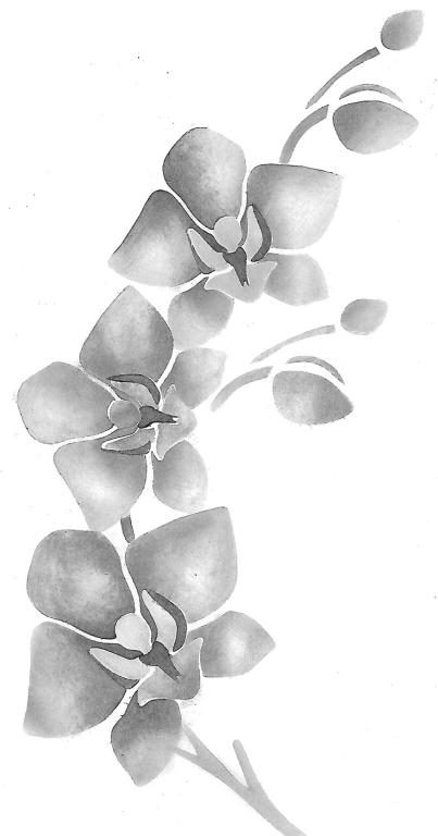 Orquideas