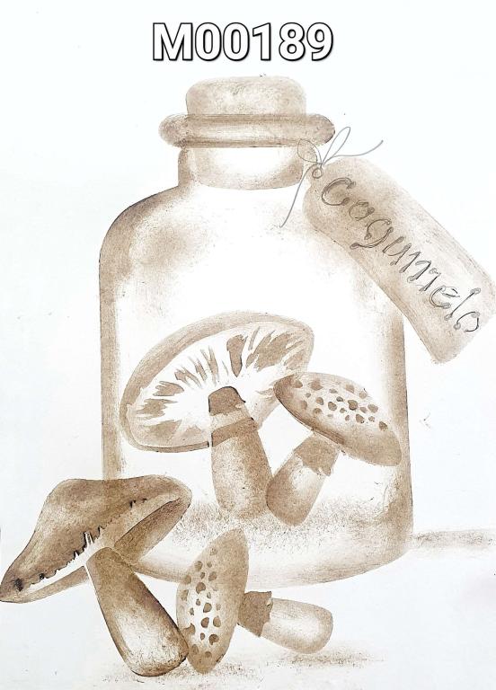 Pote de vidro com Cogumelos