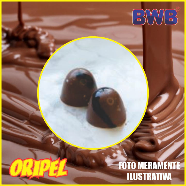 FORMA SIMPLES TRUFA GRANDE BWB