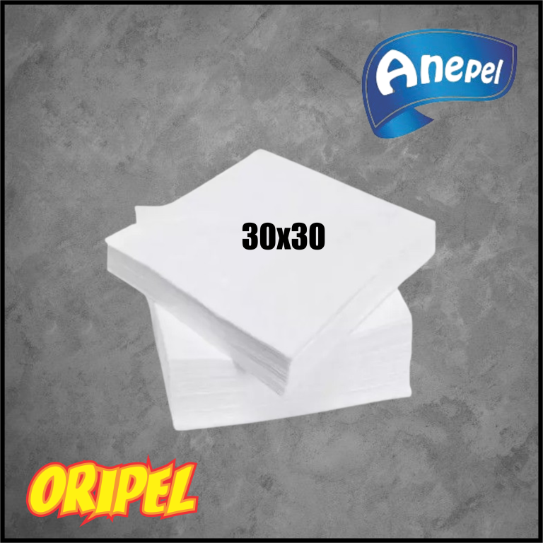 GUARDANAPO PAPEL DE MESA 30X30CM ANEPEL 30X50 UN