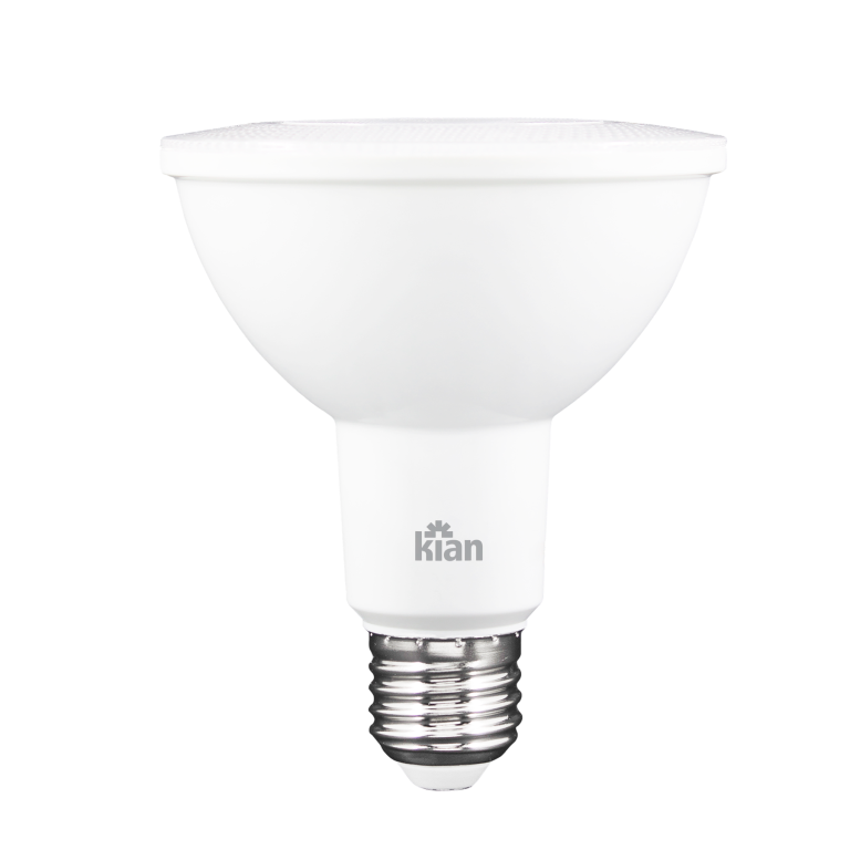 LAMP LED PAR30 11W 2700K BIV KIAN