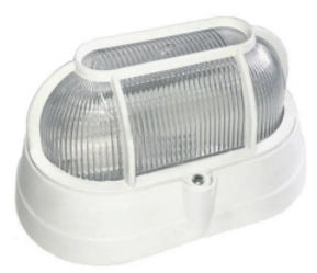 TARTARUGA BRANCA ACRILICO