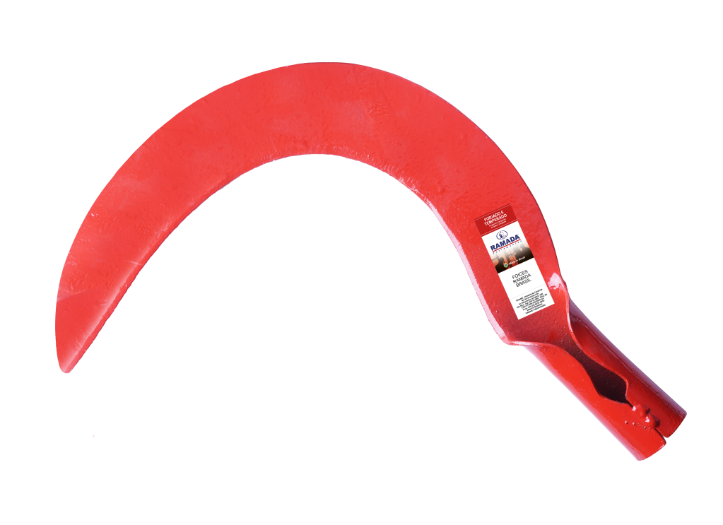 FOICE ABERTA SEM CABO