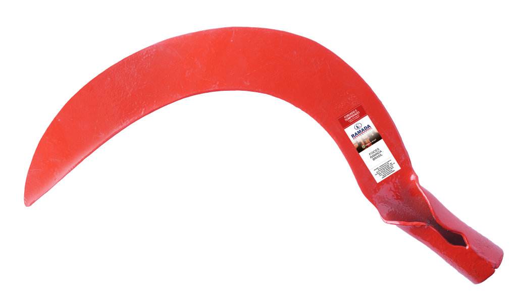 FOICE FECHADA SEM CABO