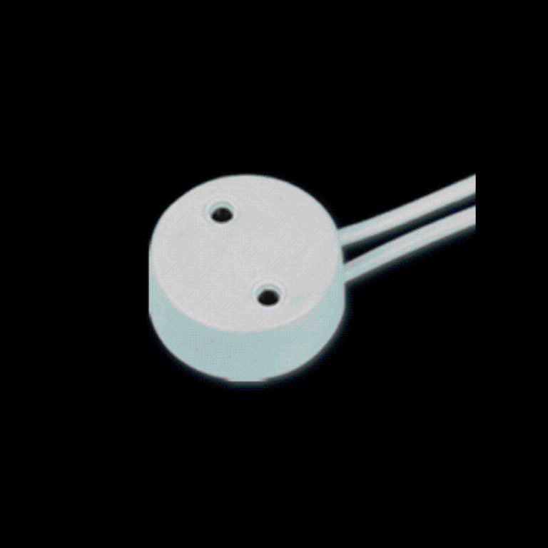 TOMADA FLUORESCENTE C/ RABICHO 2A 250V (PACOTE VEM 60, MAS O VALOR É UNITÁRIO)