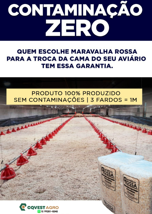 MARAVALHA ROSSA