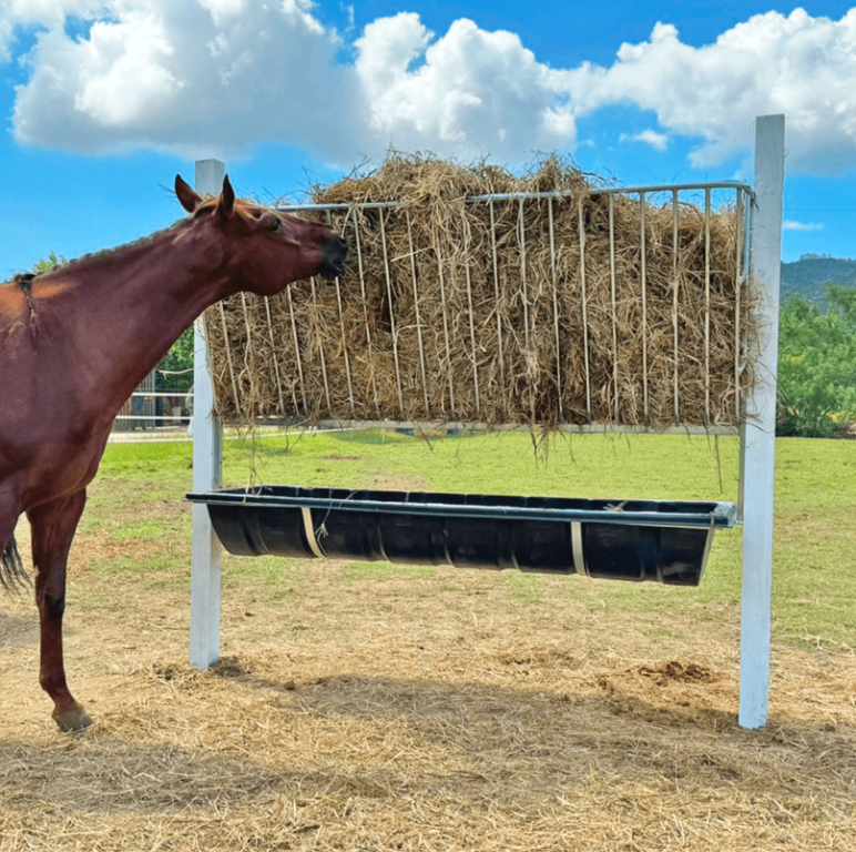 FENEIRA DE PIQUETE COM COCHO (2 METROS)