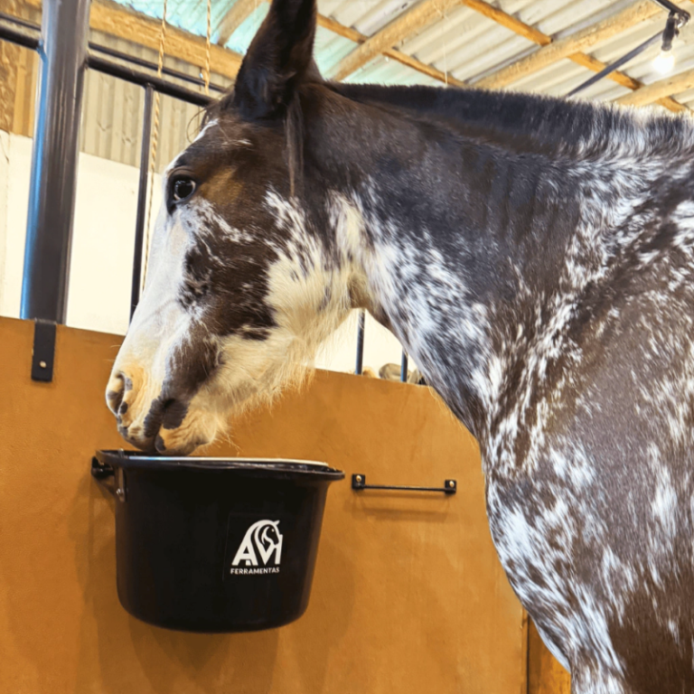 SUPORTE DE COCHO PARA PARAFUSAR NA PAREDE (AM196/KA002)