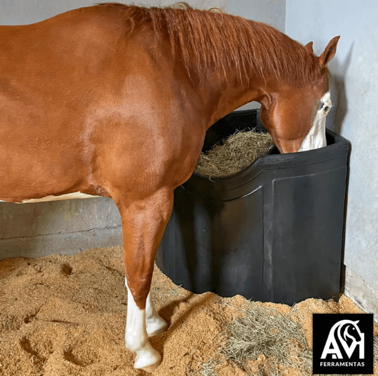 COCHO GRANDE PARA CANTO DE BAIA - TRIPLO