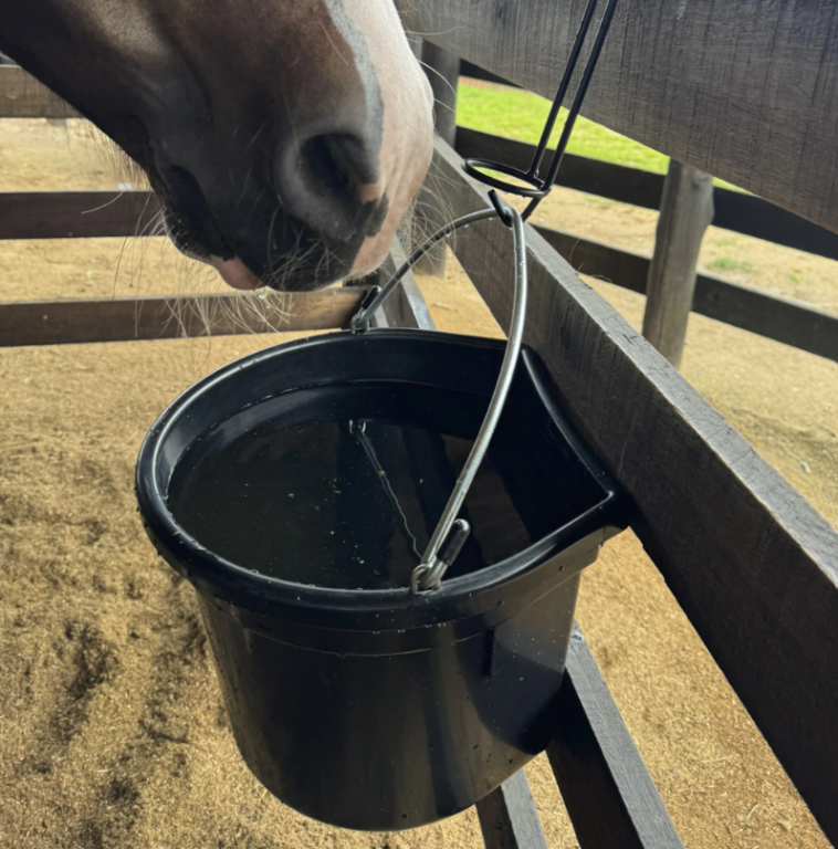 BALDE IMPORTADO 20 LITROS