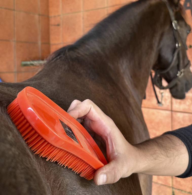 ESCOVA MÁGICA MULTI USO